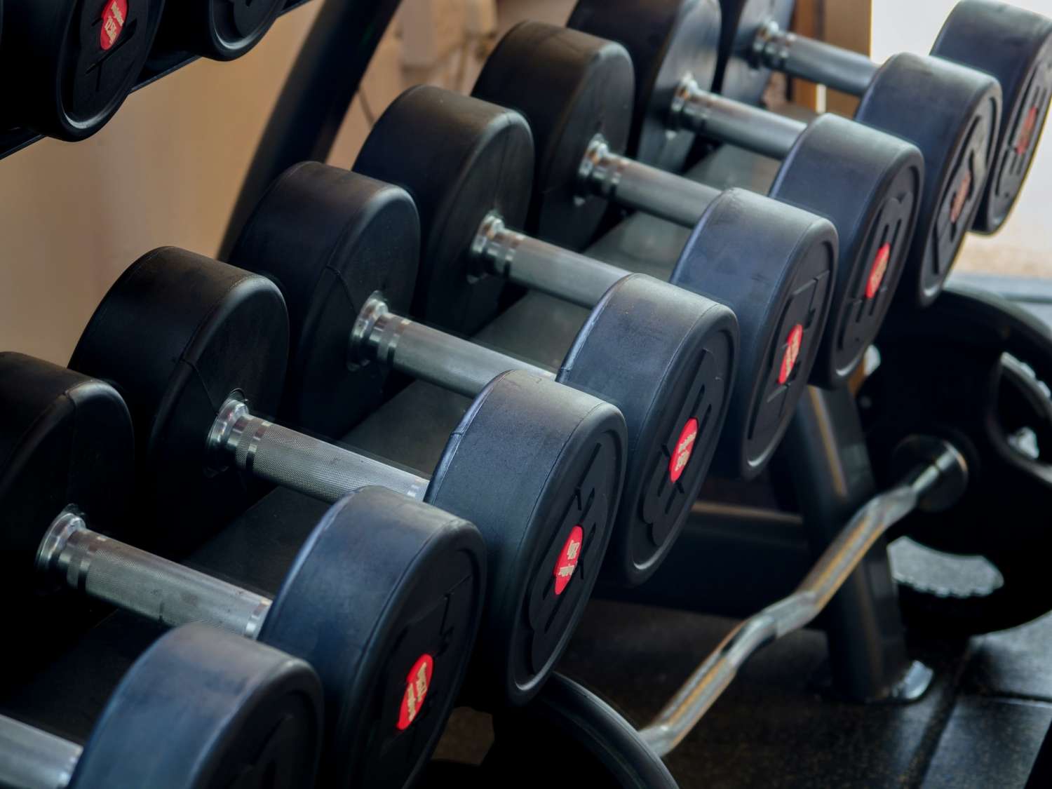 palestra